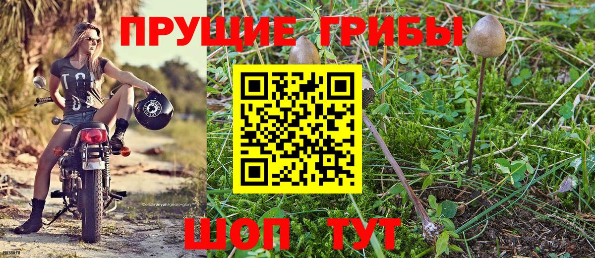 Cocaine  LSD-25  Крымск  МЕТАДОН  Alpha-PVP СК кристаллы  ГАШ  Конопля  Меф   Наркошоп  Меф   ГАШИШ  MDMA 