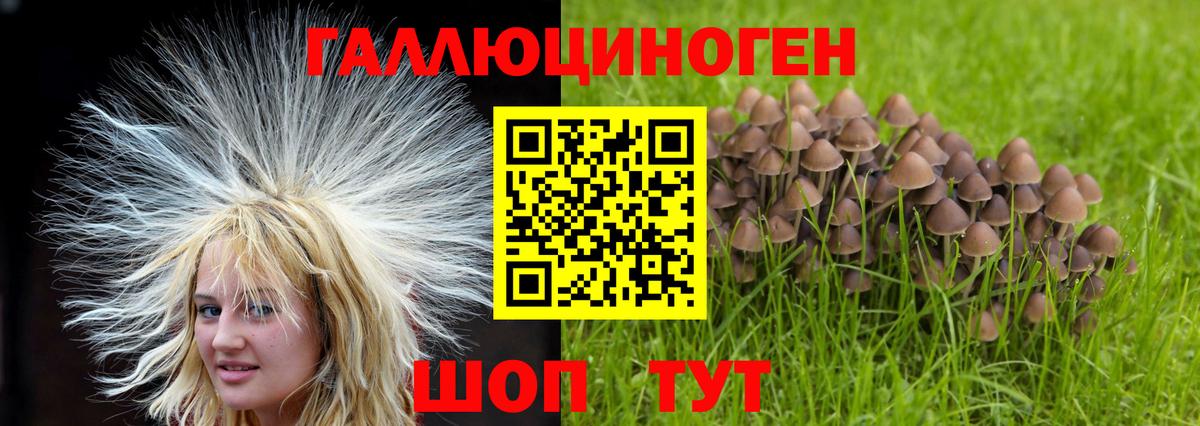 Псилоцибиновые грибы Cubensis Крымск